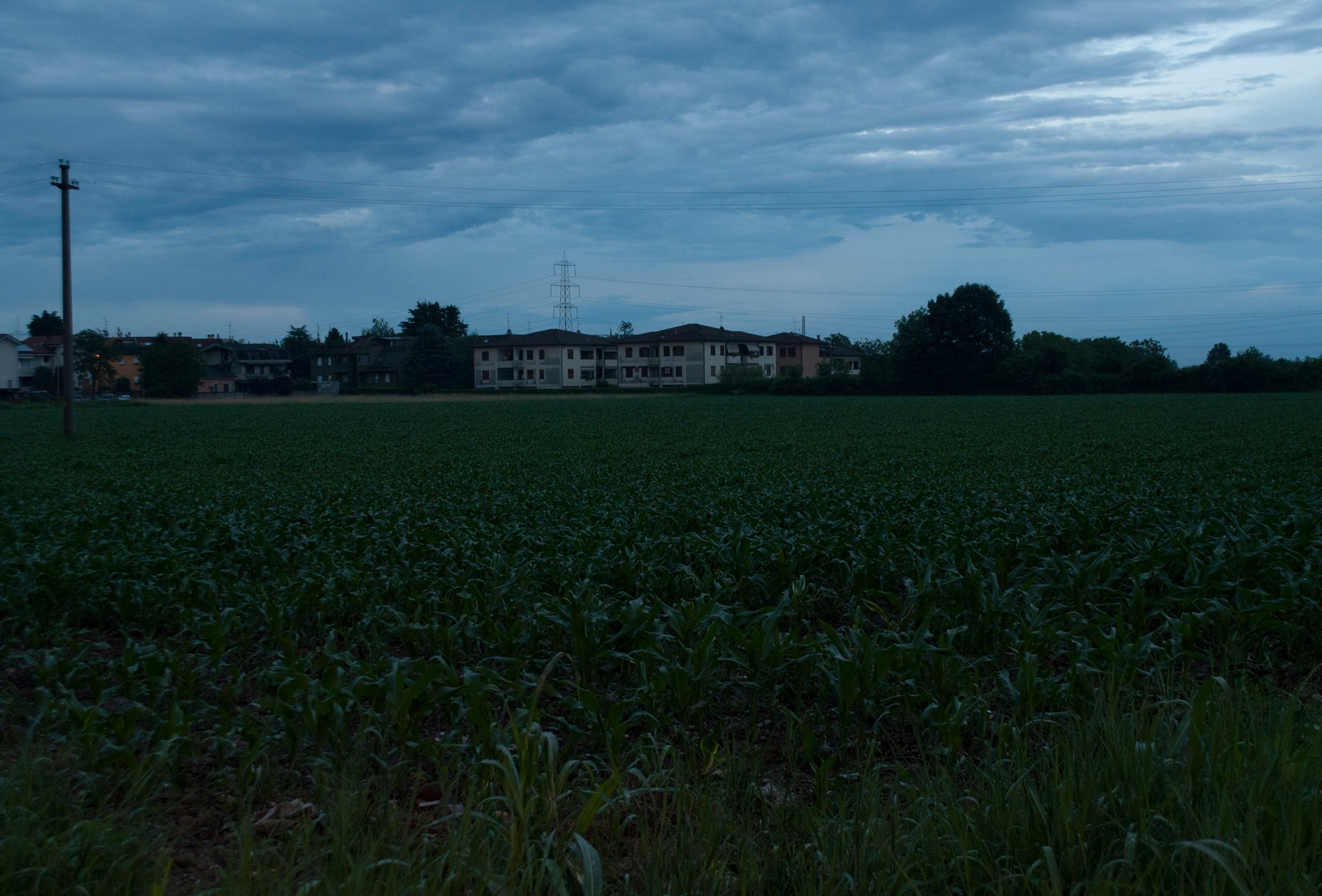 Il lato oscuro della natura