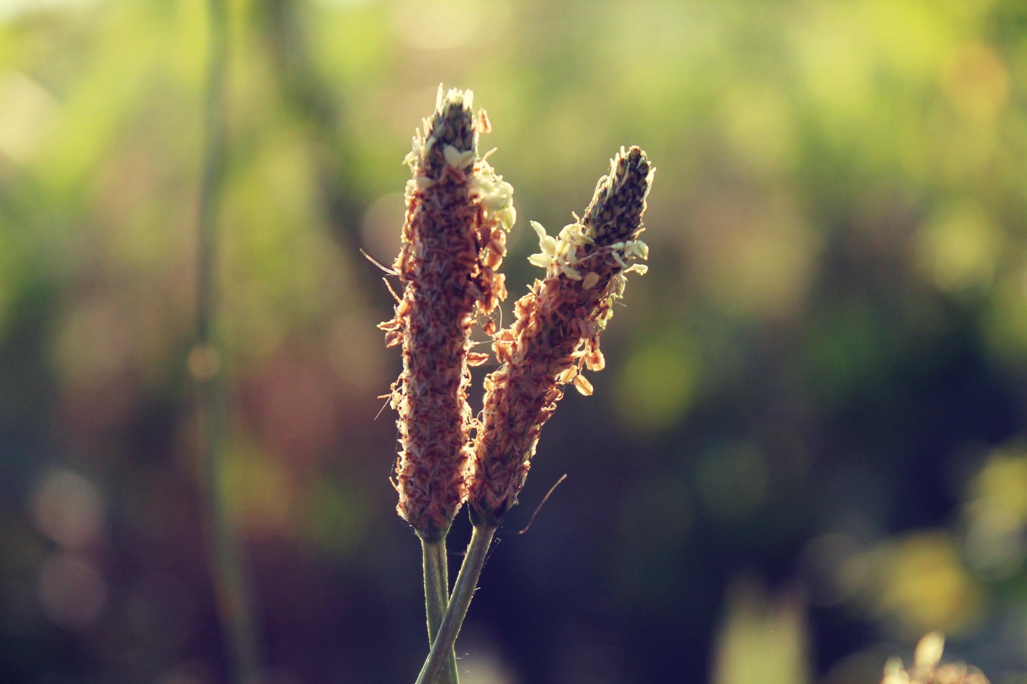 Come due innamorati...