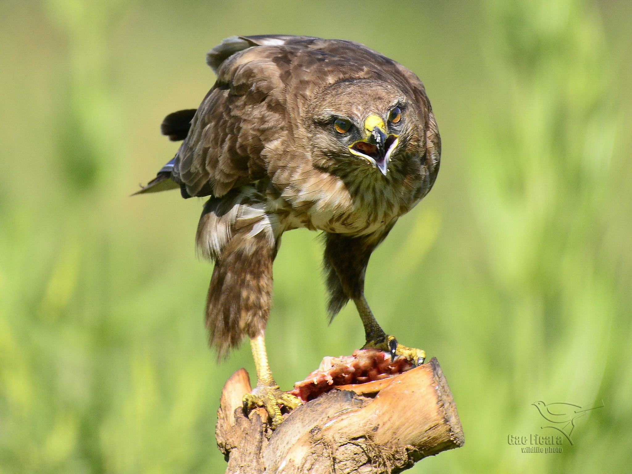 Well, what are you looking at?