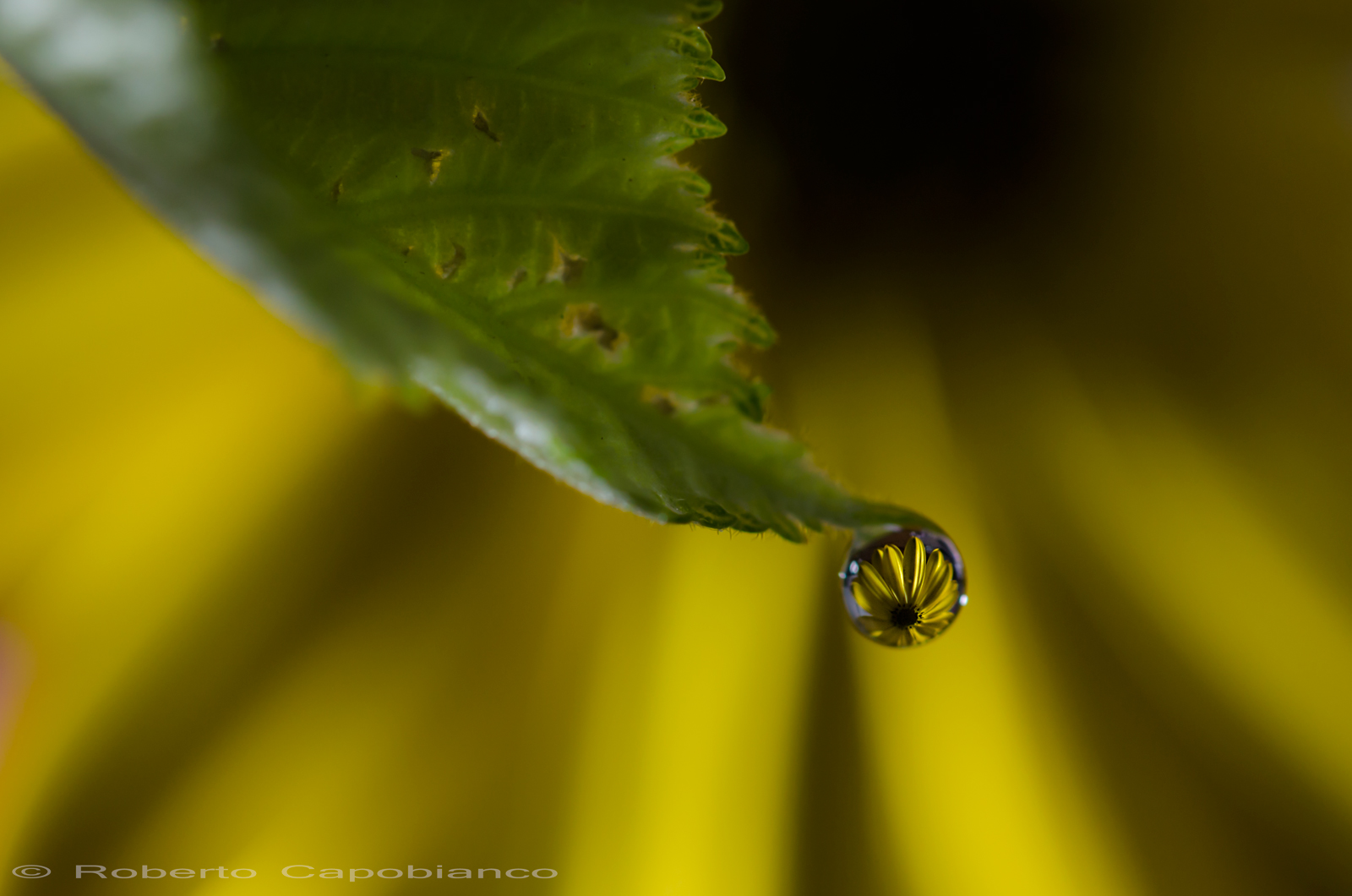 The loneliness of a drop