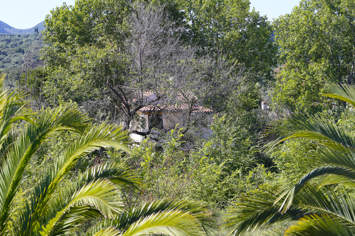 in absolute relaxation