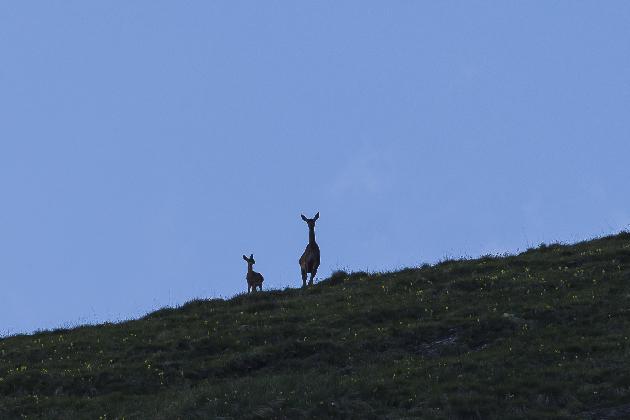 Mamma perchè quel signore ci sta osservando?