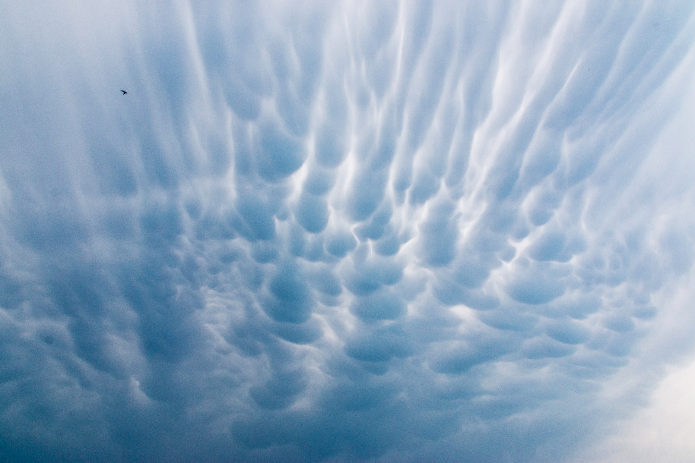 Mammatus cloud