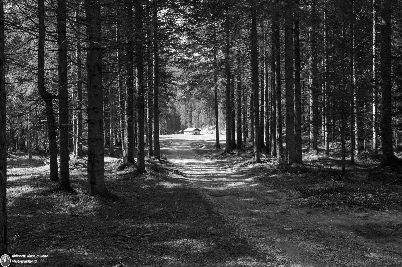 the 'down in the clearing