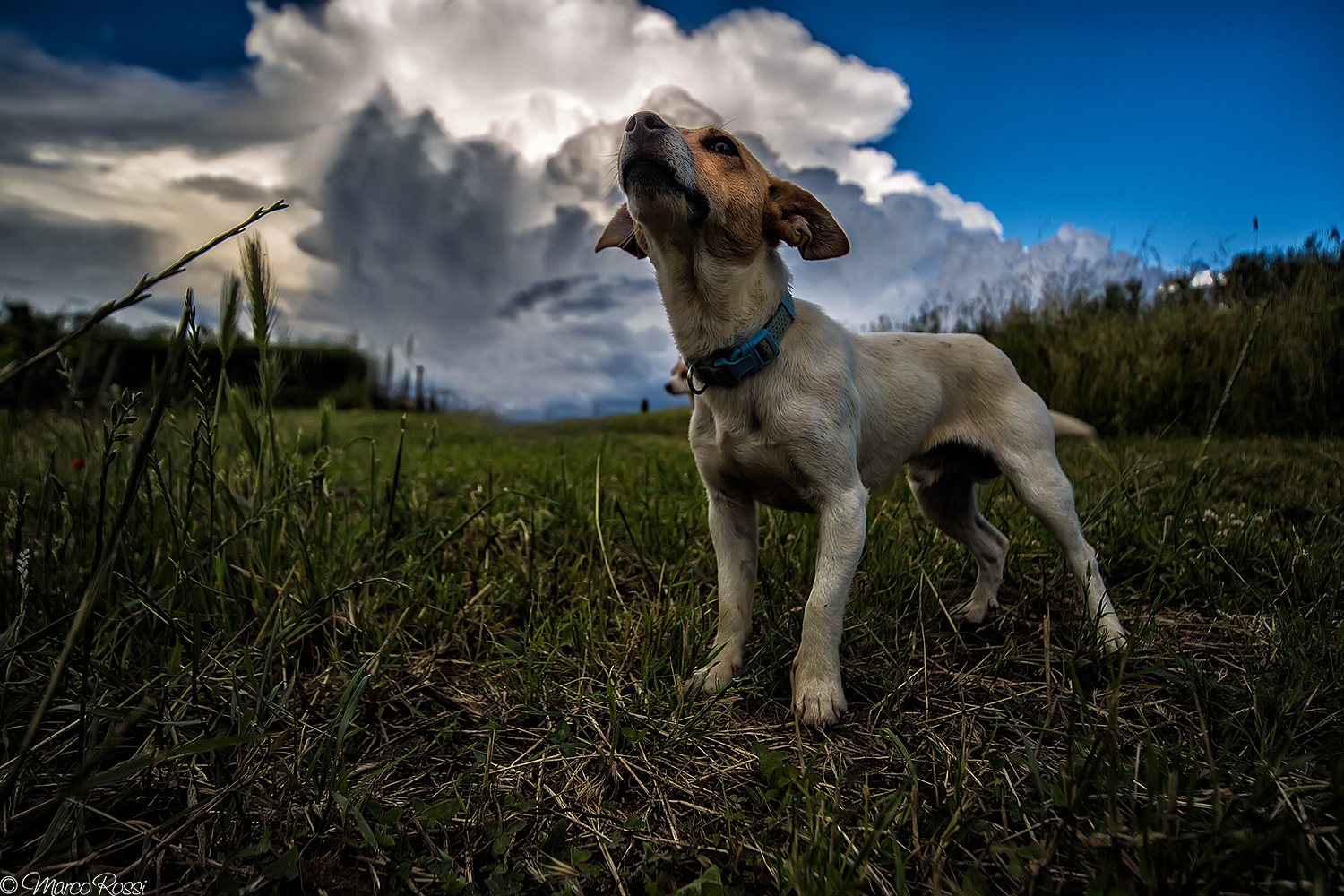 C'è odore di pioggia