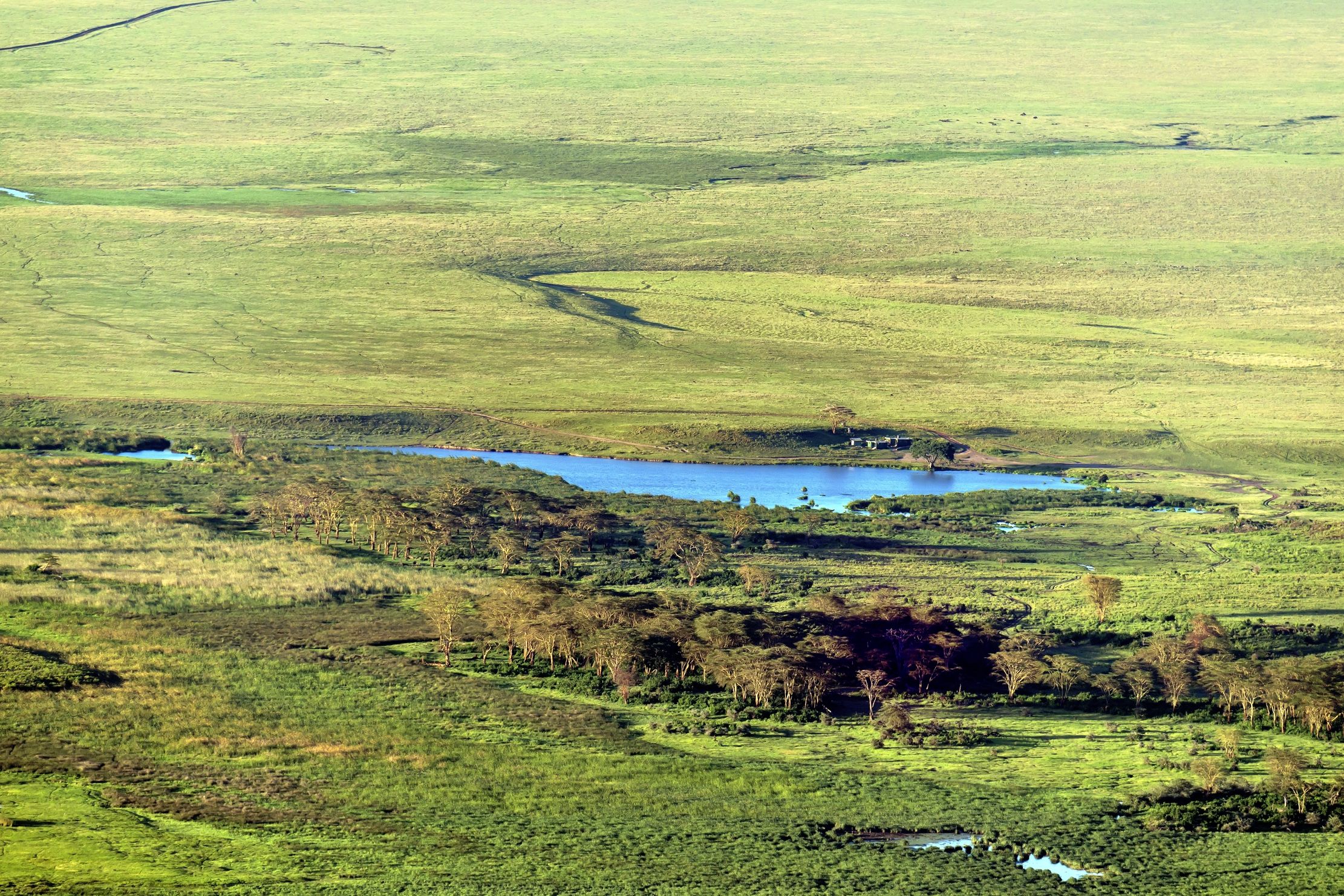 Tanzania 2016 - Ngorongoro crater