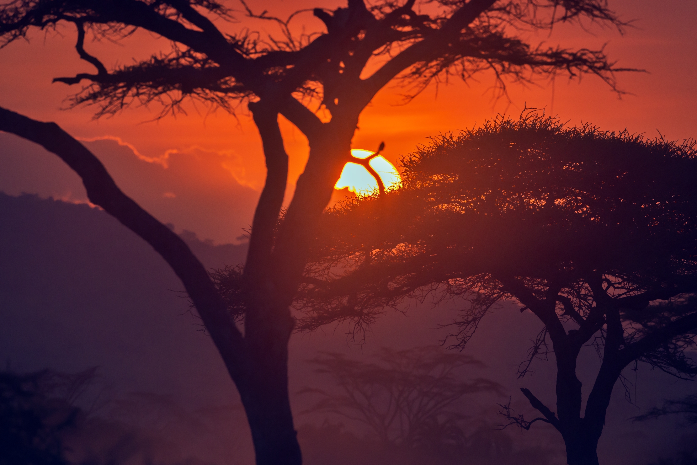 Tanzania 2016 - Tramonto