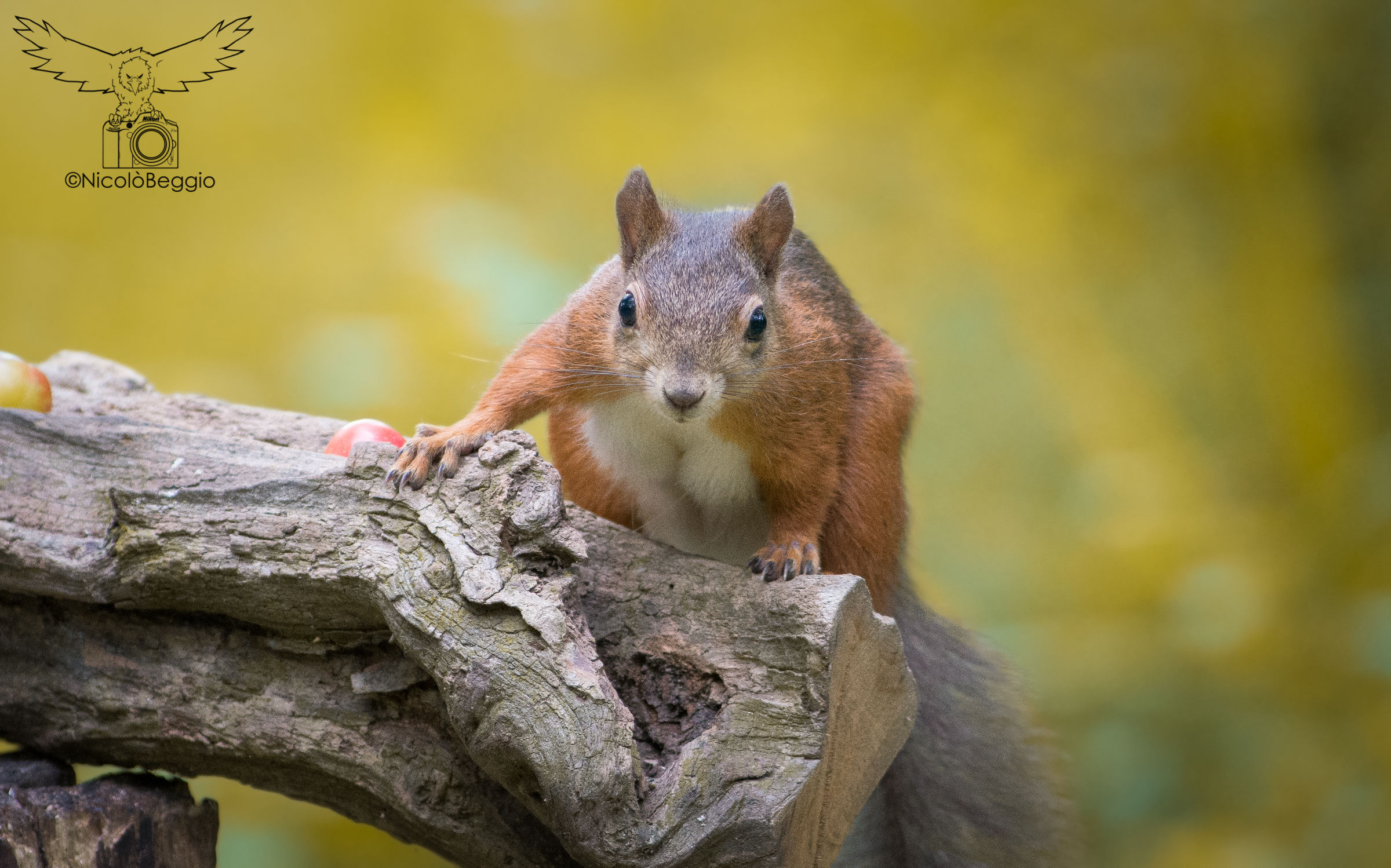 Ok ... you saw me! :)