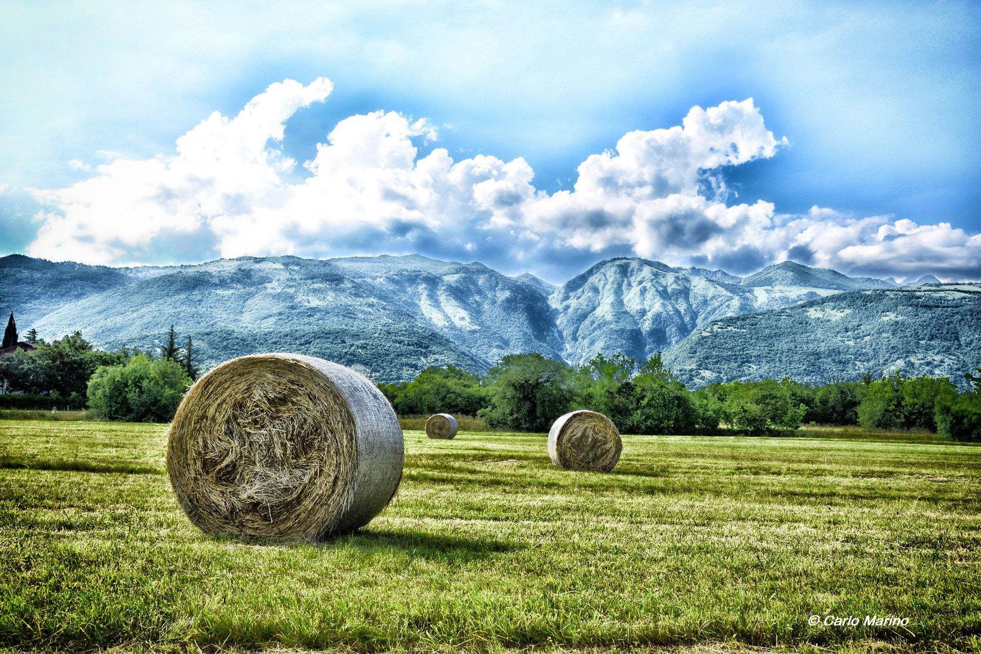 June, the wheat sheaves in Friuli Venezia Giulia