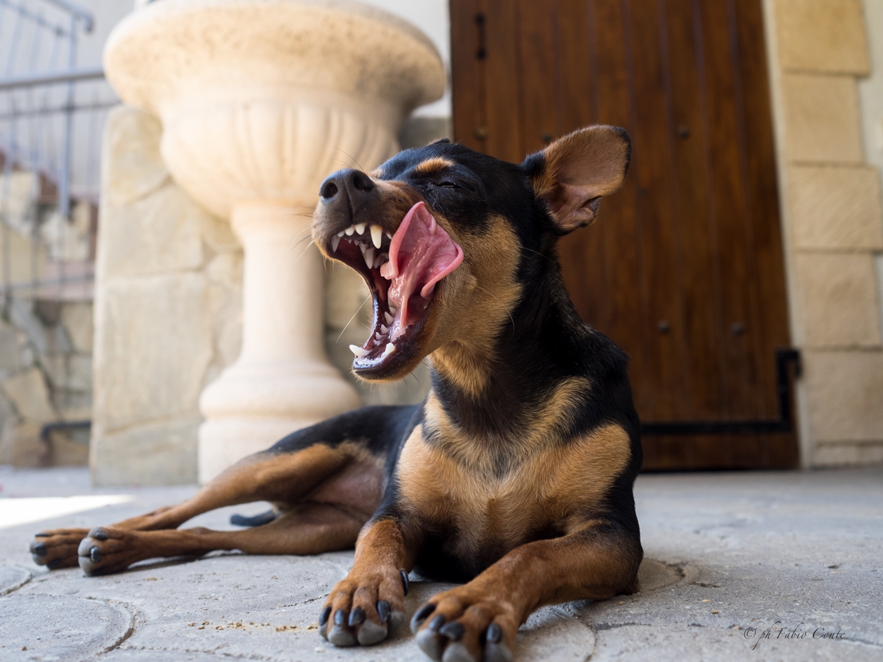 Cake... fame, sempre fame!