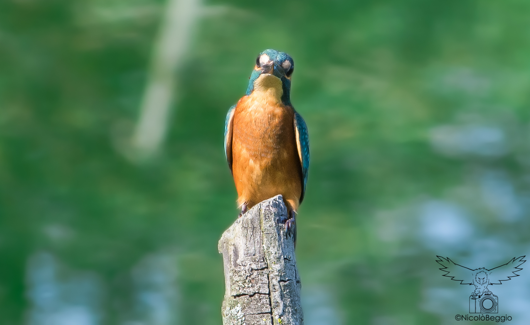 Un arrivo silenzioso..