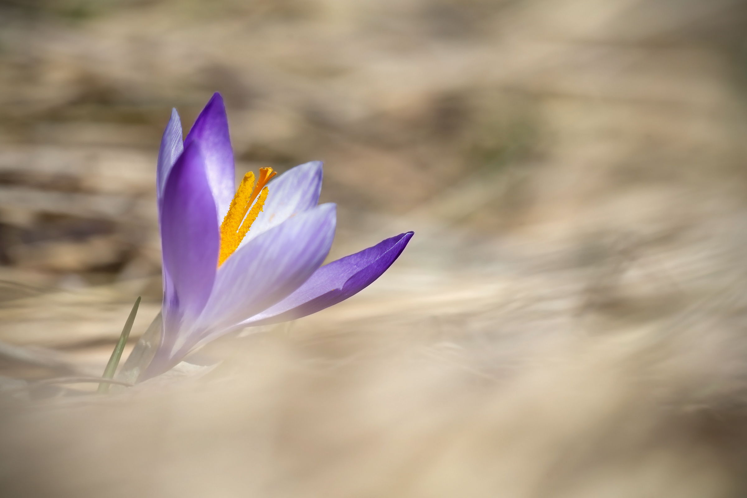 Ready for the season