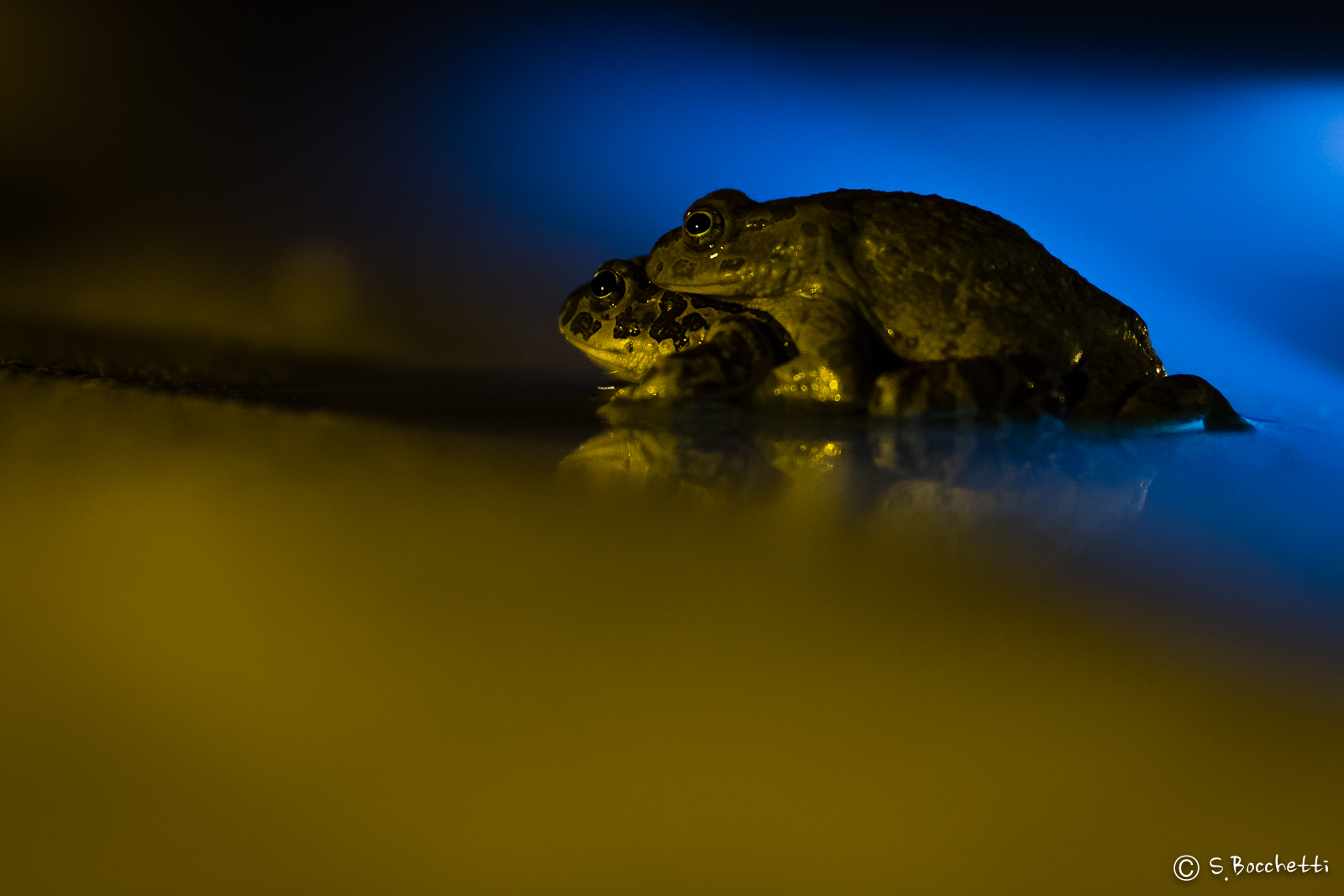 Sex on a swimming pool