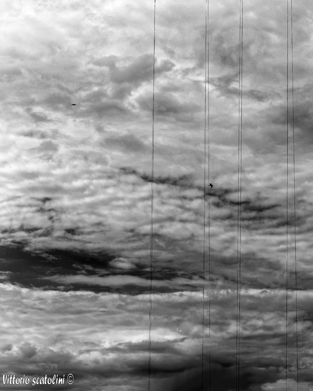 The puppeteers ................ !!!