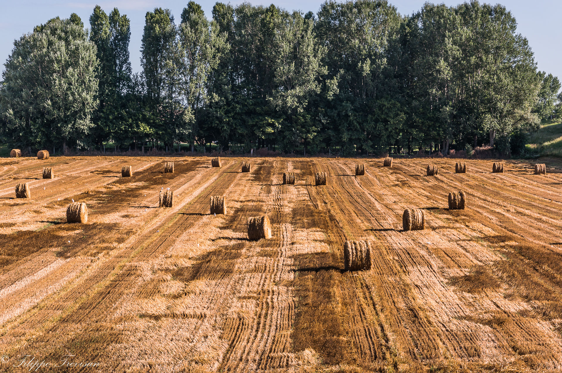 Il colore del Polesine