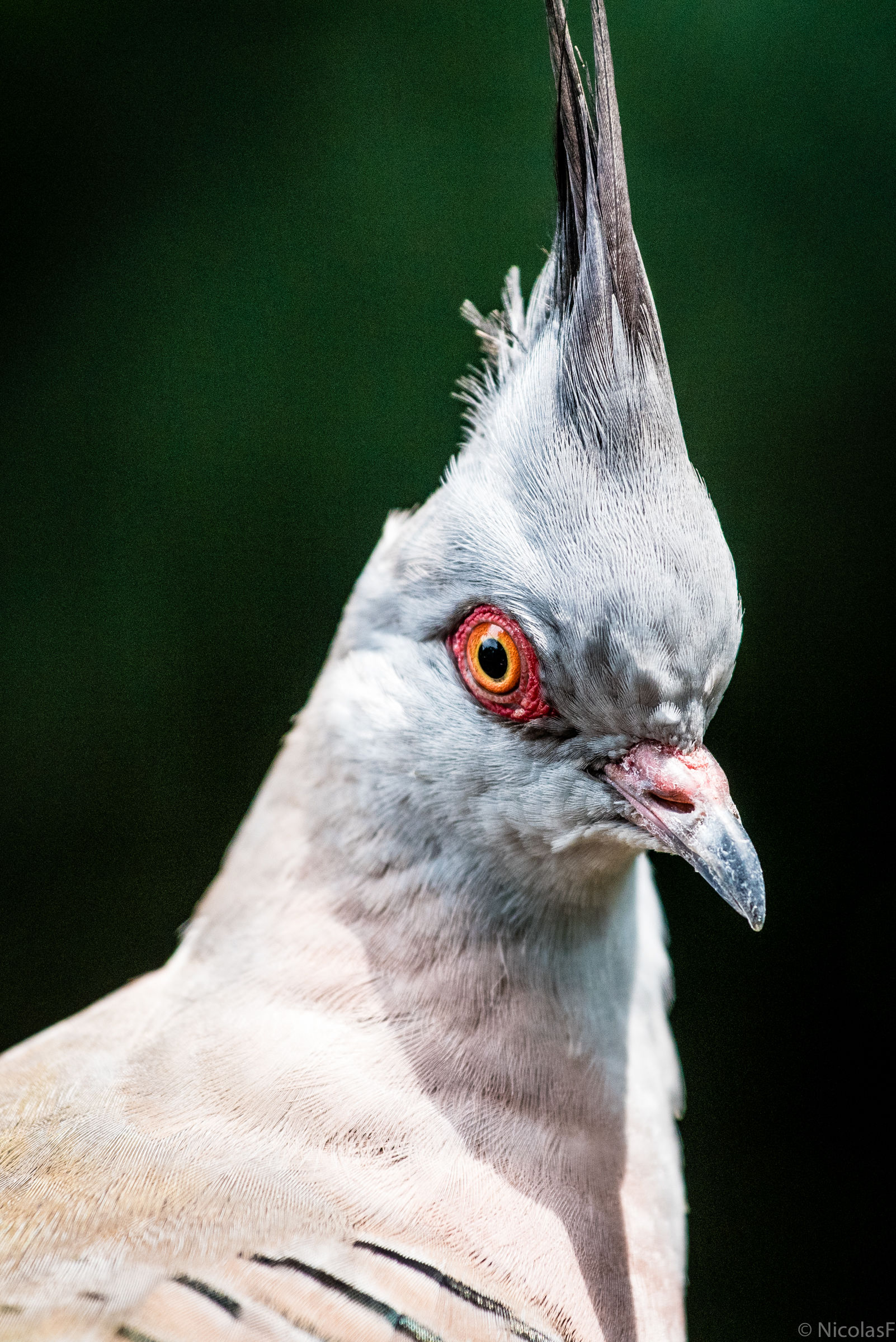 Are you talking to me ?!