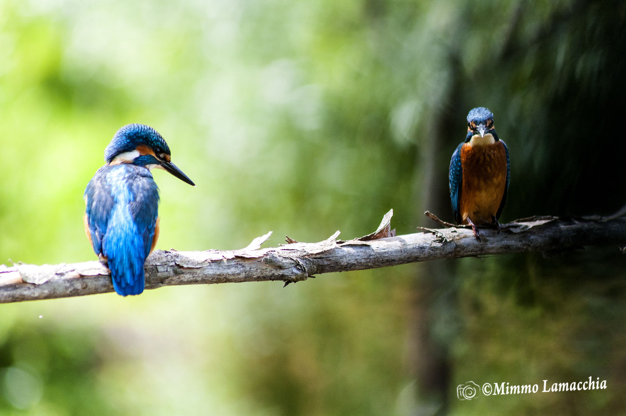 we do not do company