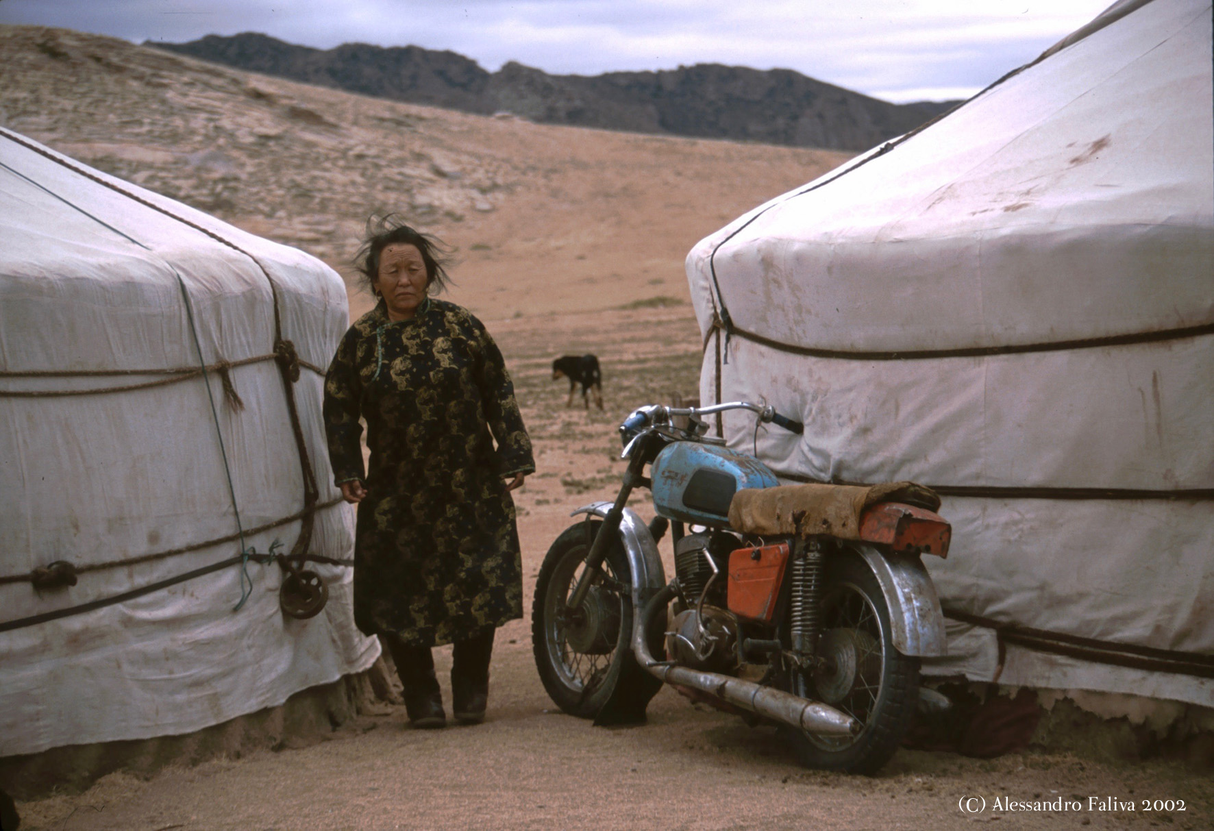 Vado in moto o cavallo ?