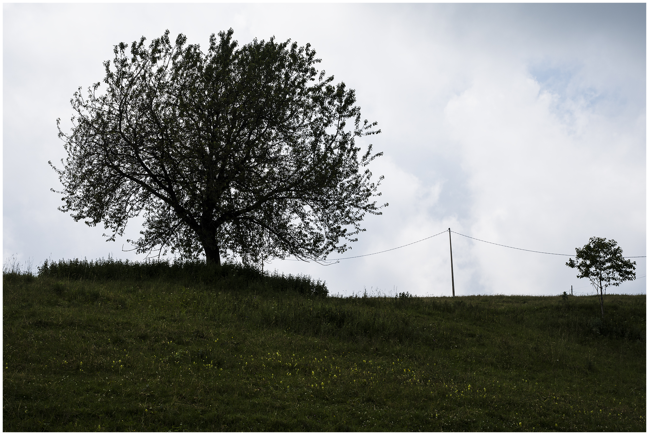 father and son ... (2)