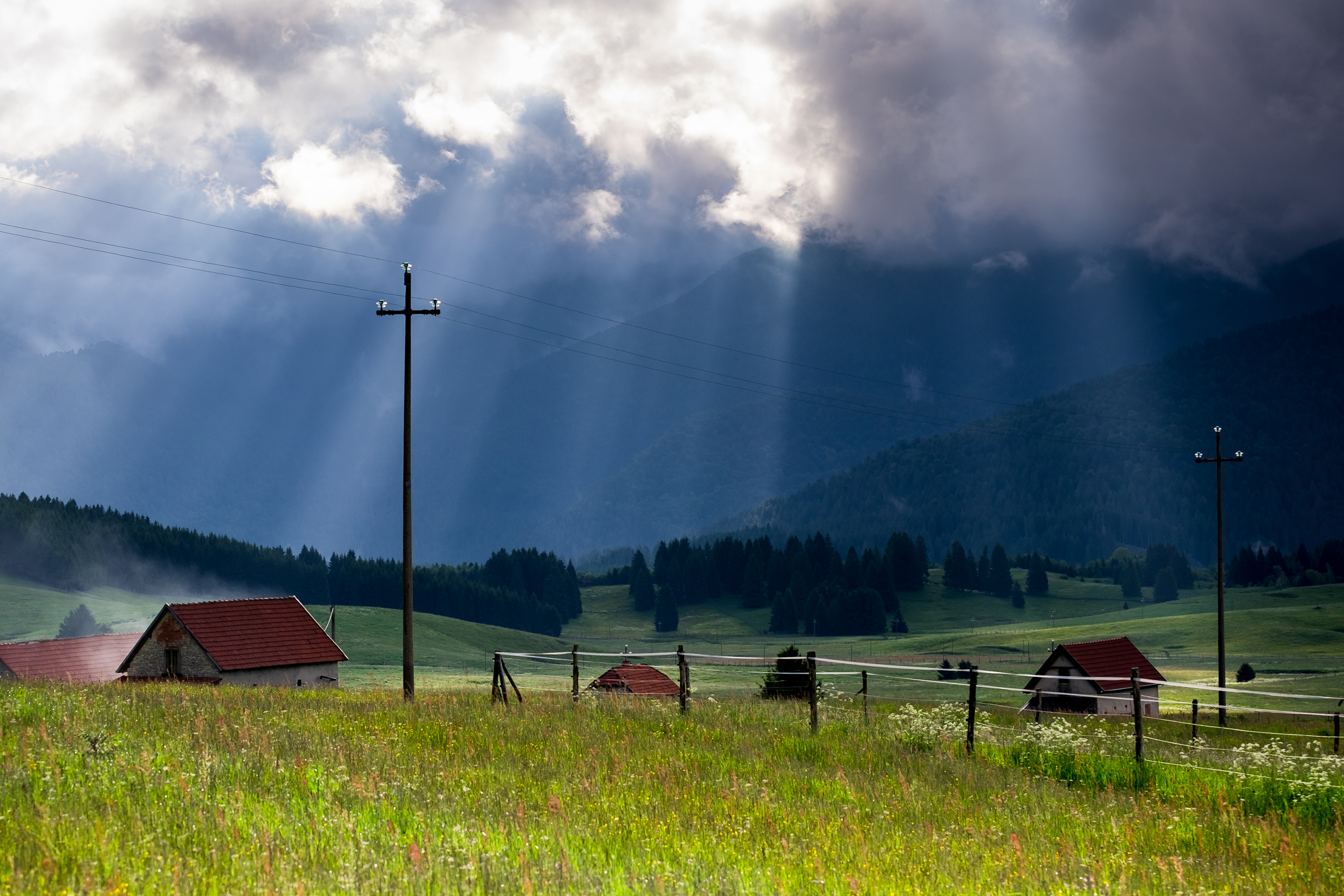 Visit in spring cansiglio