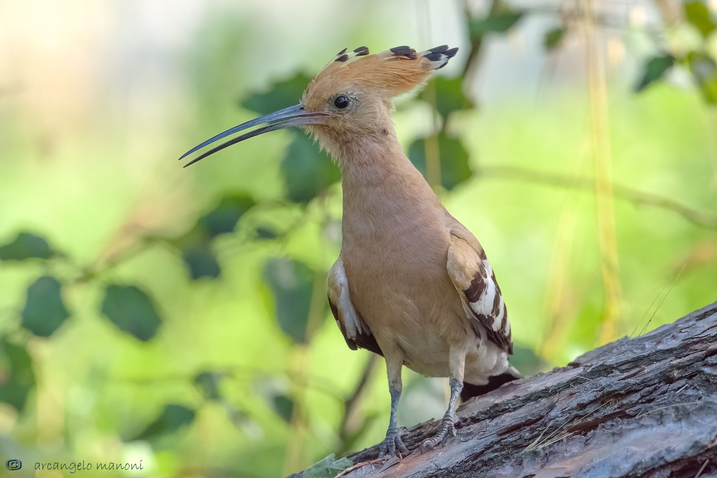 Che bello uscire dalla calura estiva!!