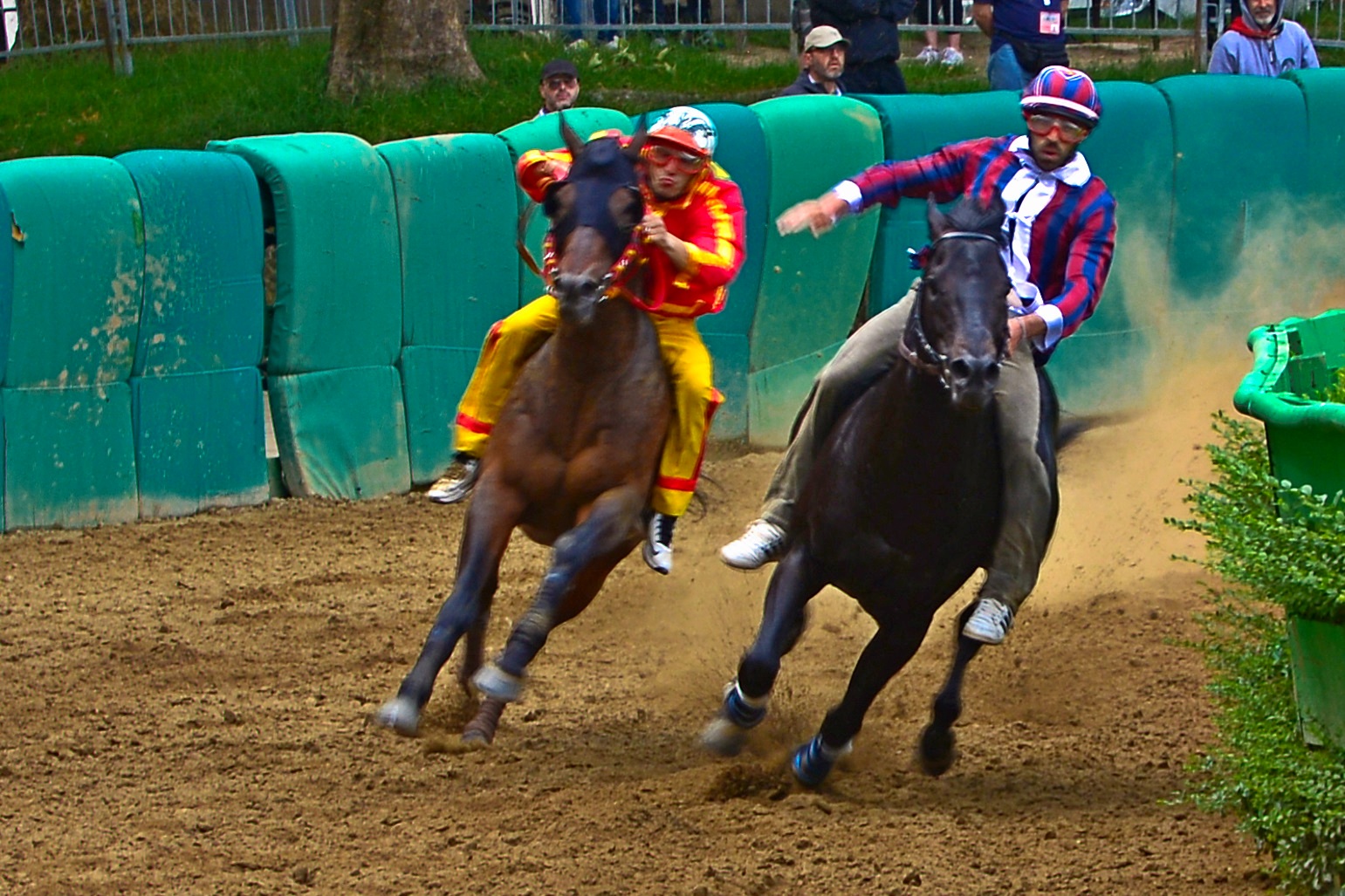 Palio di Ferrara 5