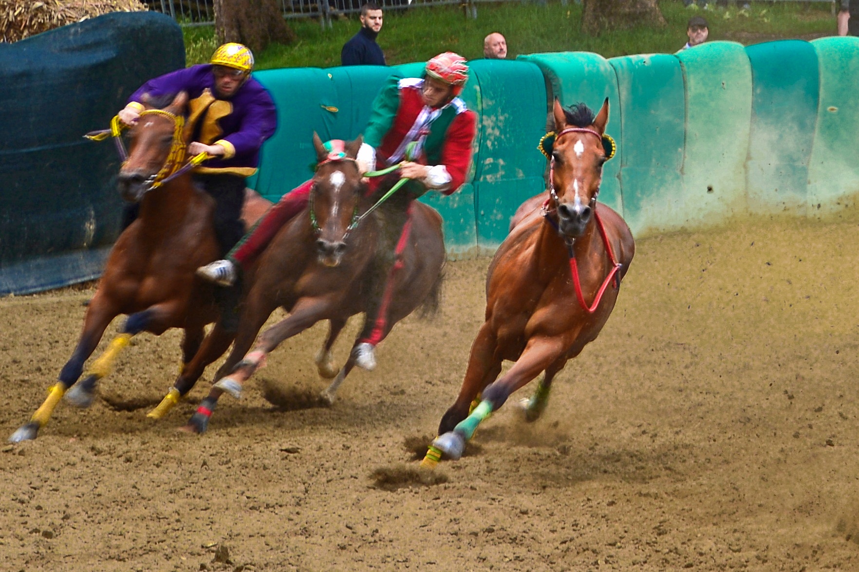 Palio di Ferrara 6