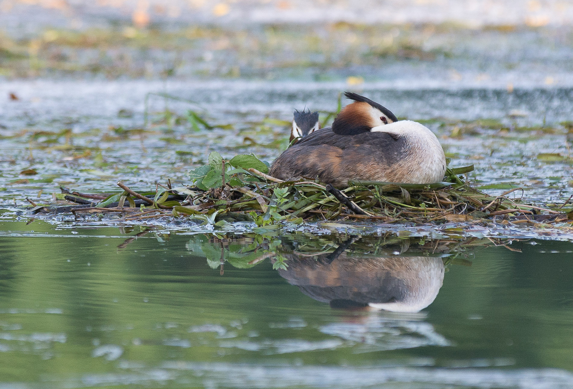 River Sile locations casere EV -0.3