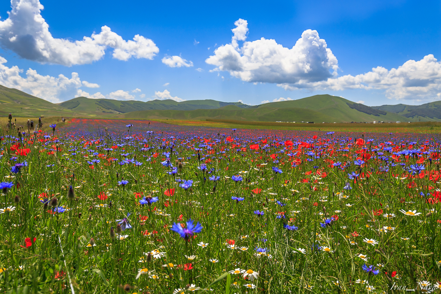 Castelluccio