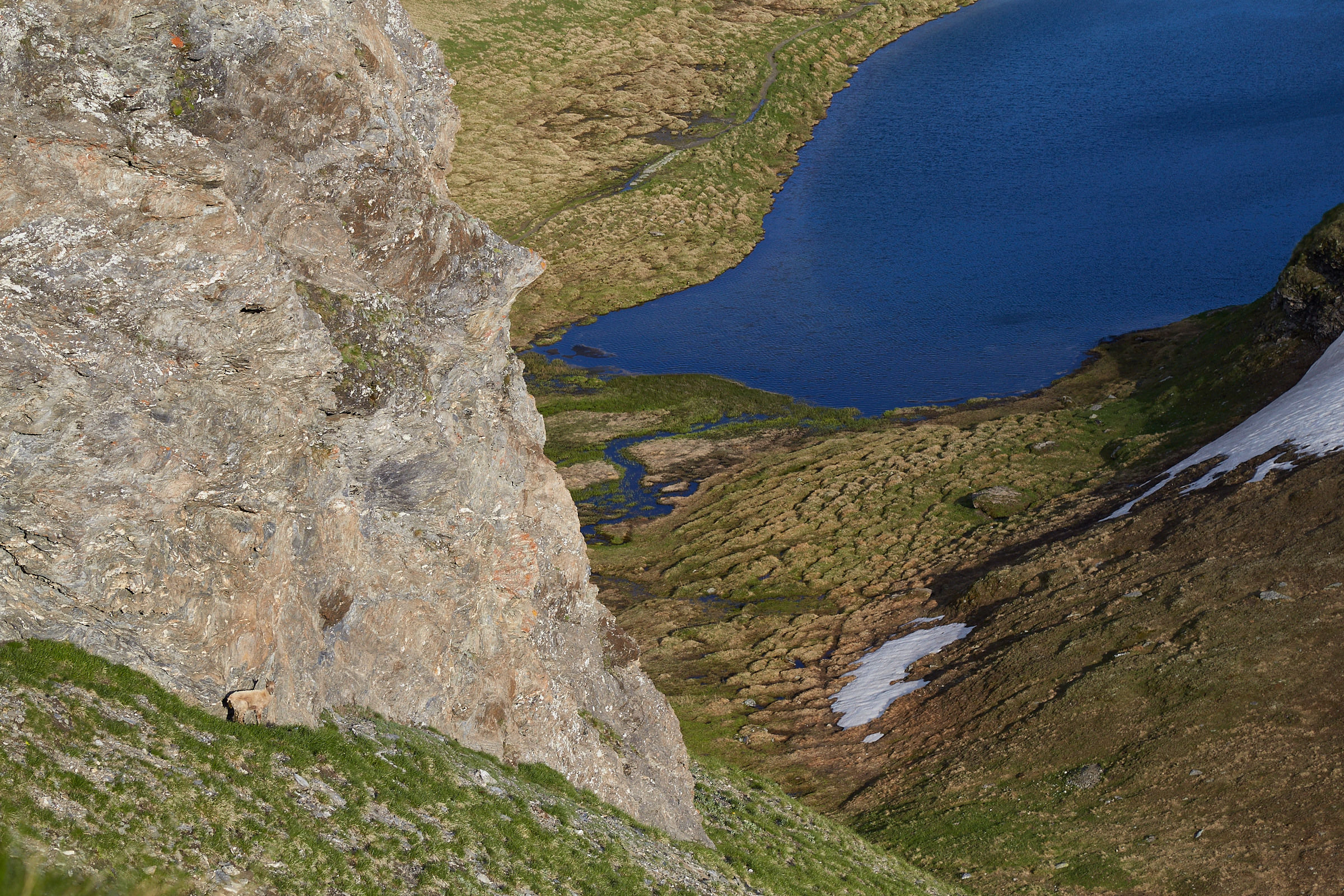 Between fear and curiosity