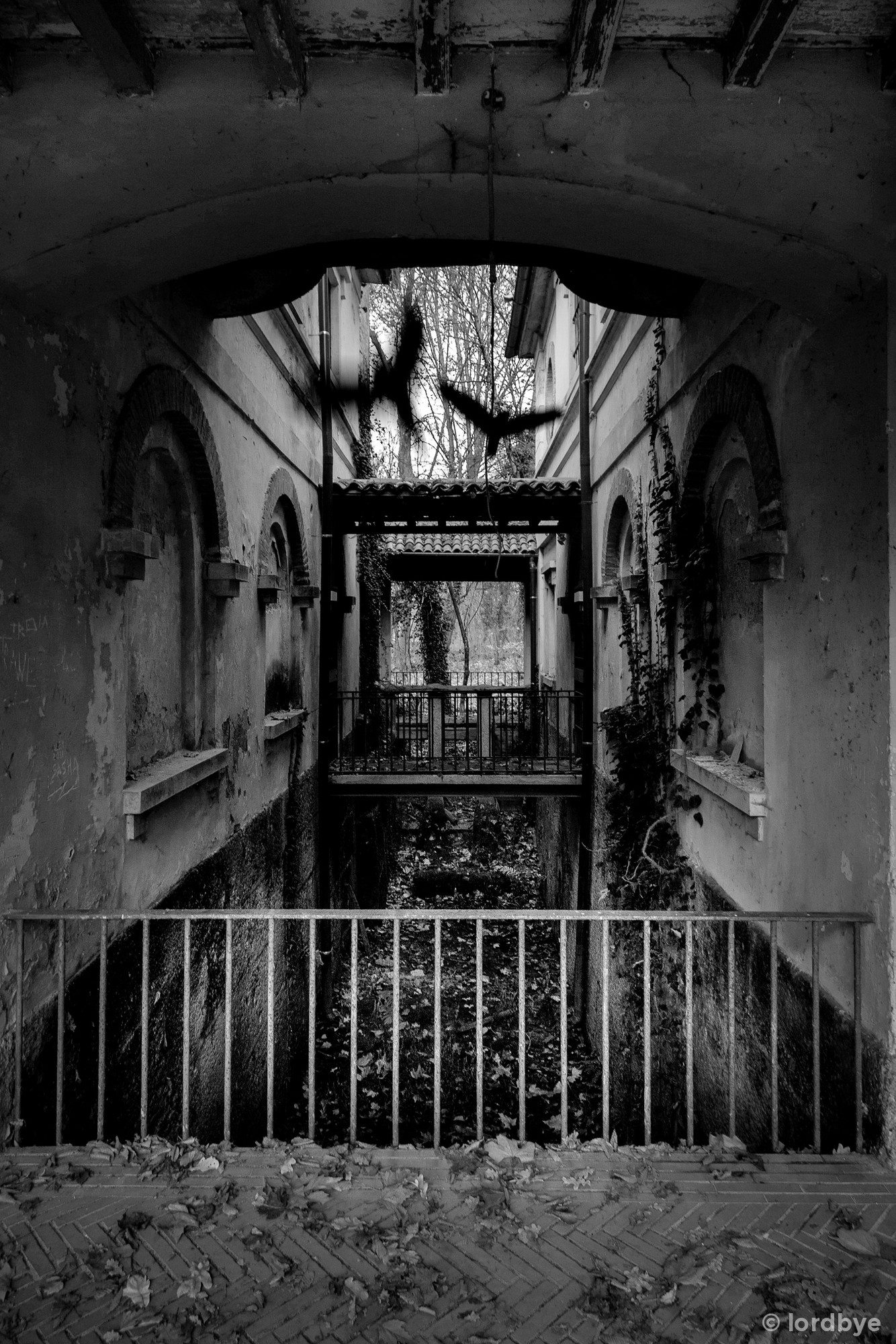 Away from our house ...