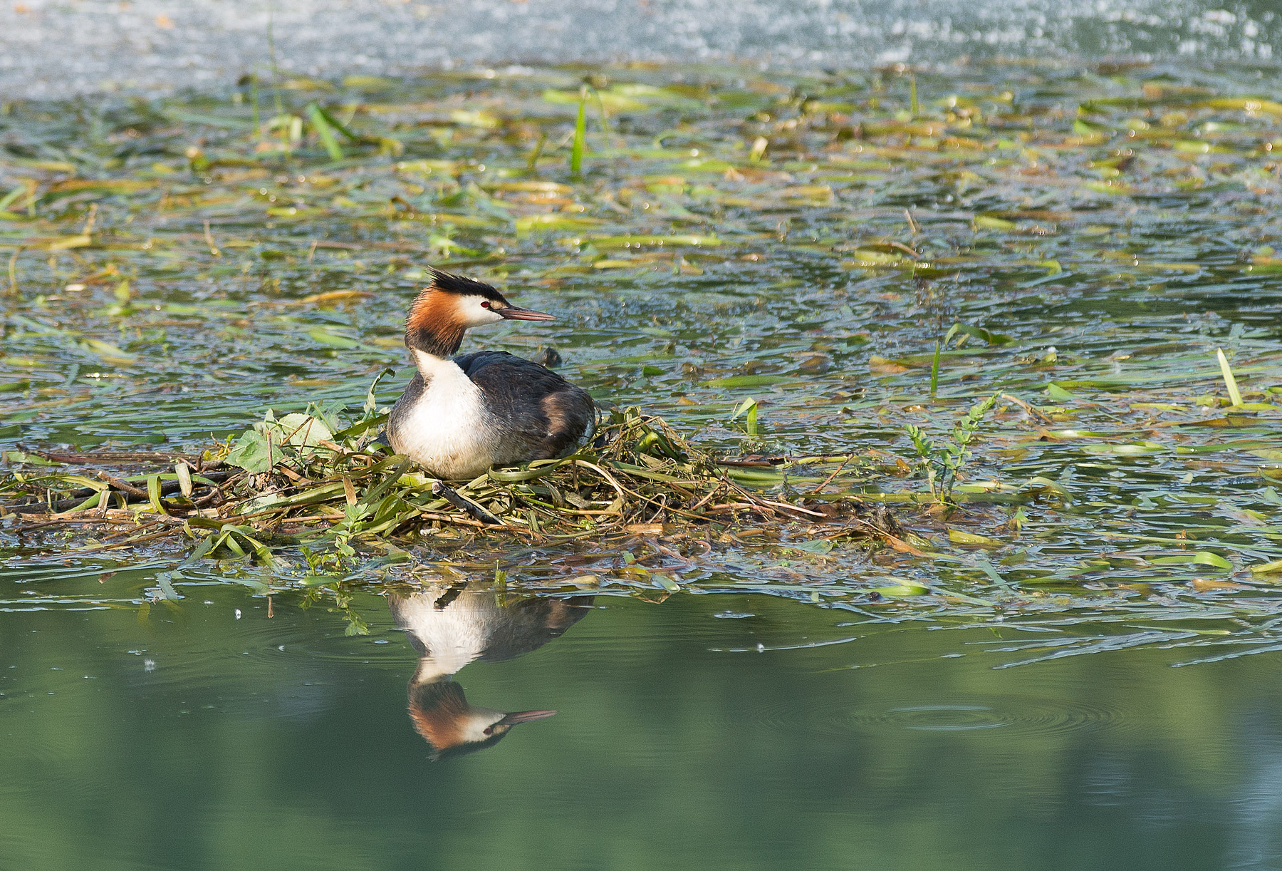 River Sile locations casere EV -0.3