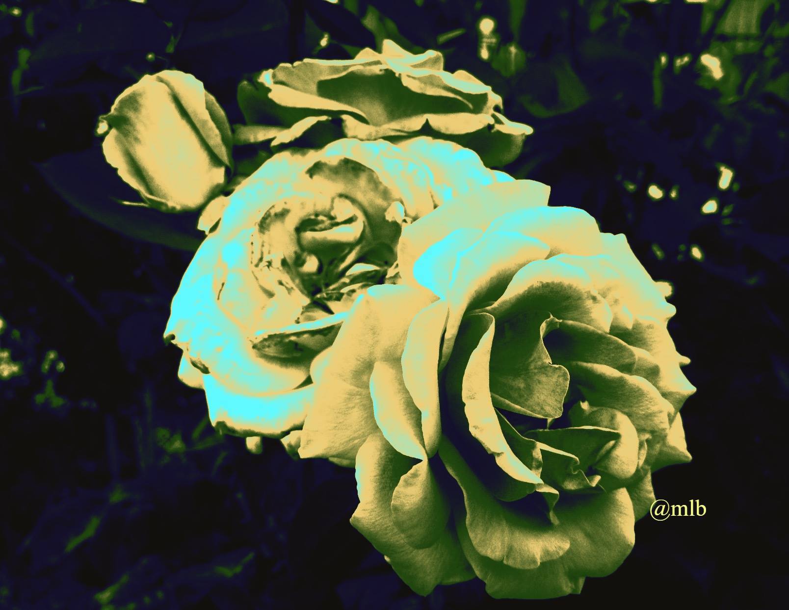 the light is color and the color is just light