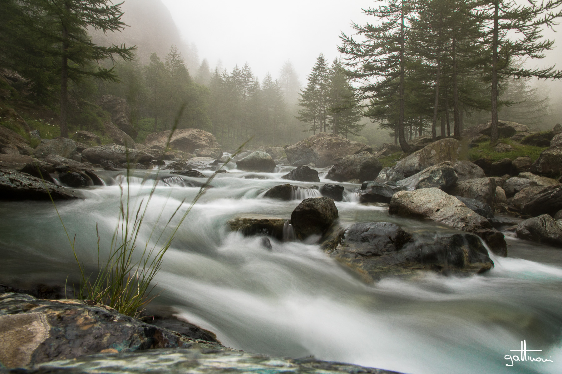 and let yourself get lost