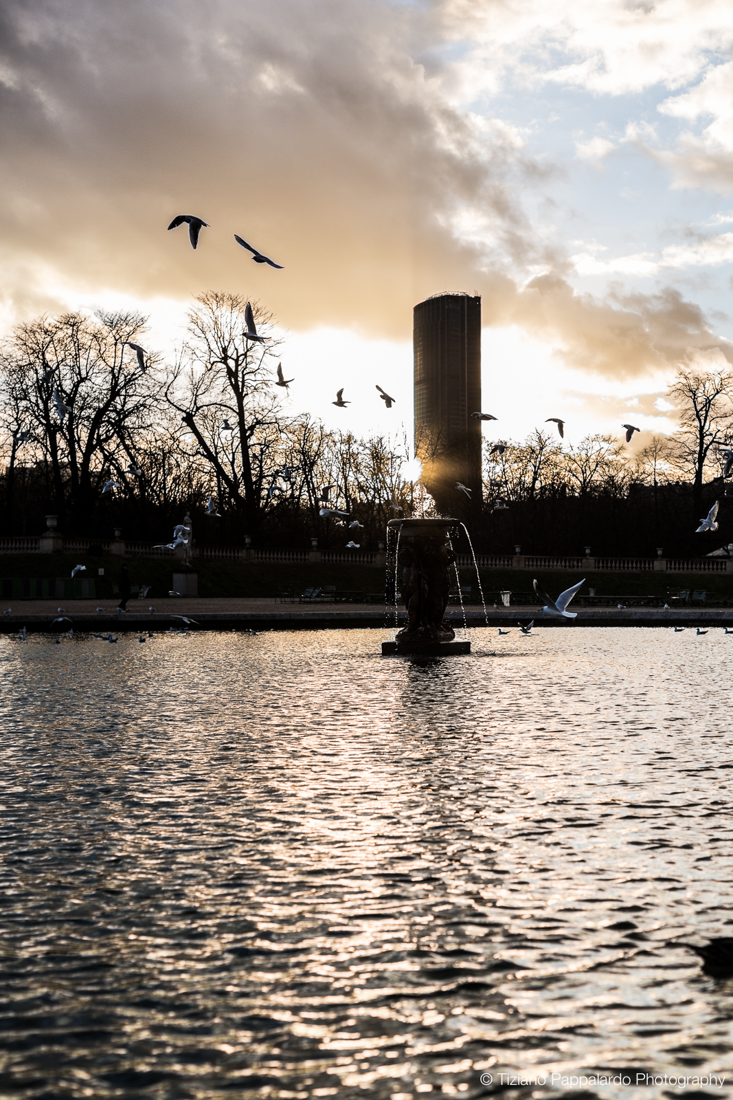 Montparnasse al tramonto