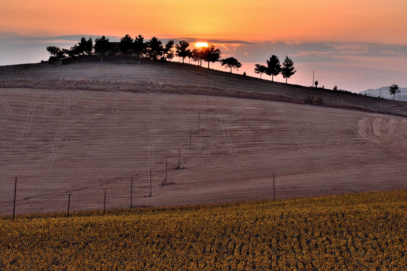 Malinconico Tramonto