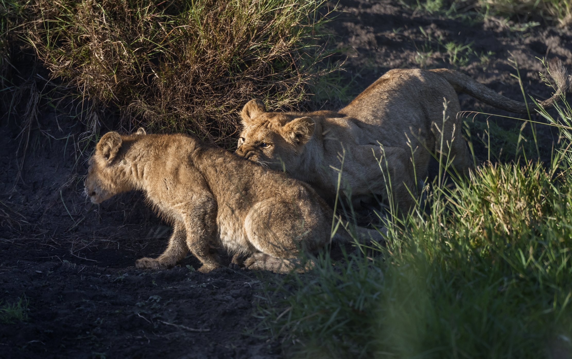 Tanzania 2016 - Giochi