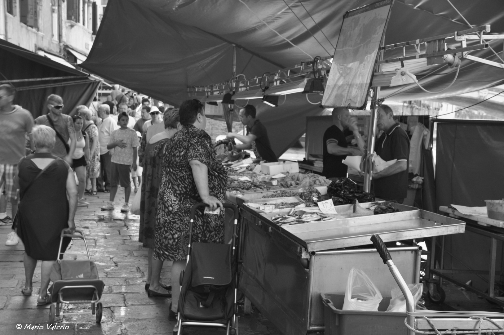 Mercato del pesce