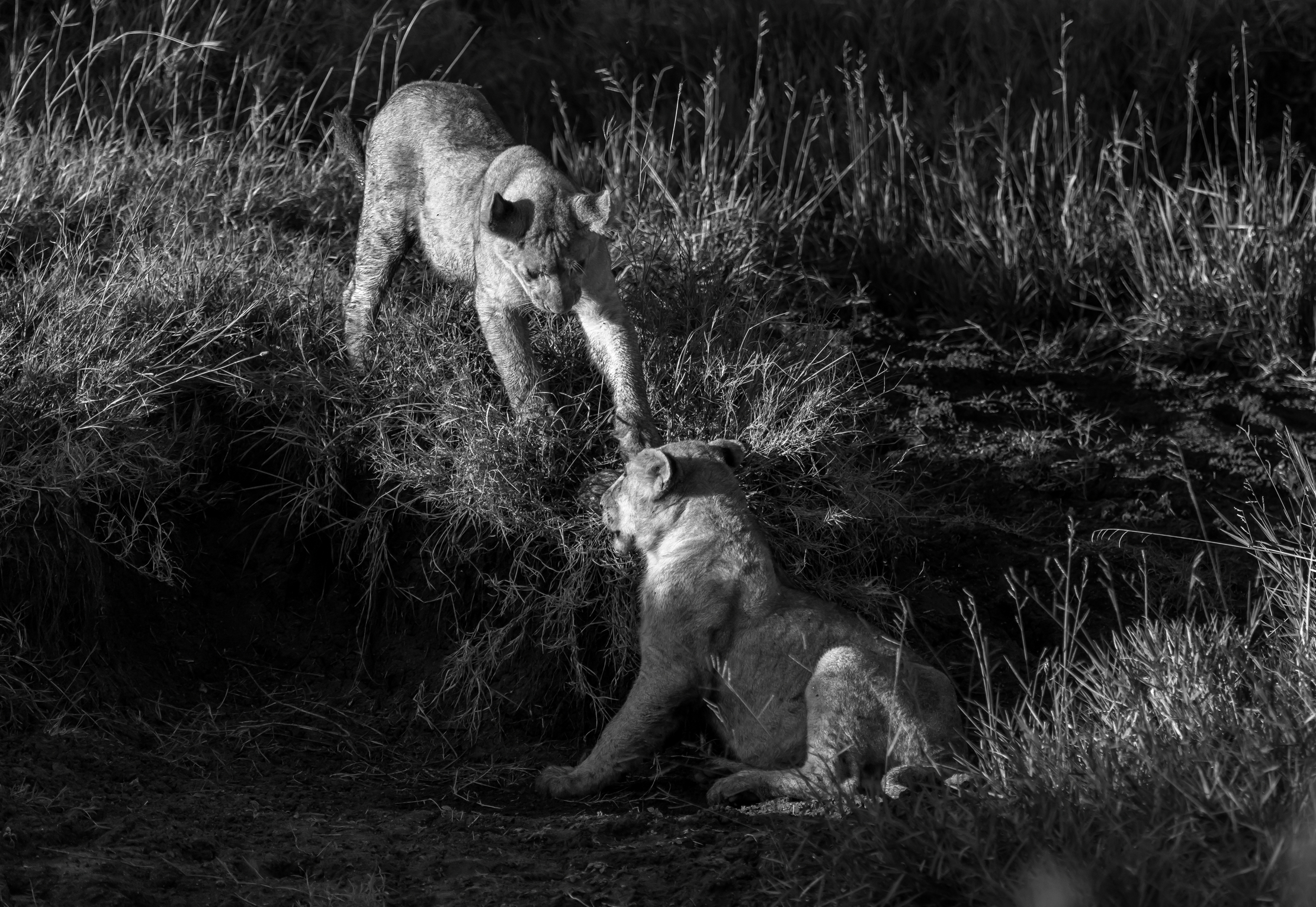 Tanzania 2016 - Giochi