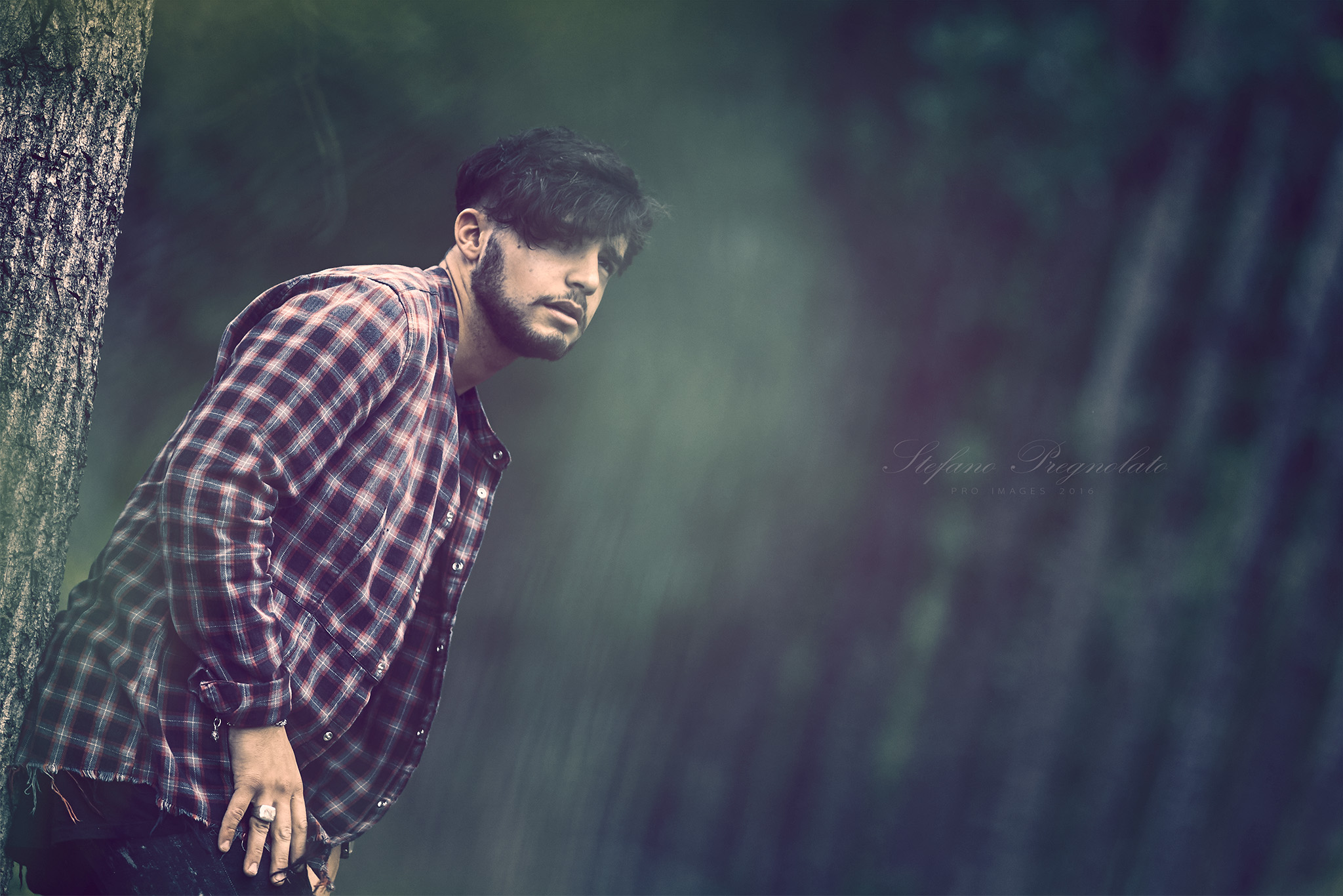 GWA - Green Wild Armony II