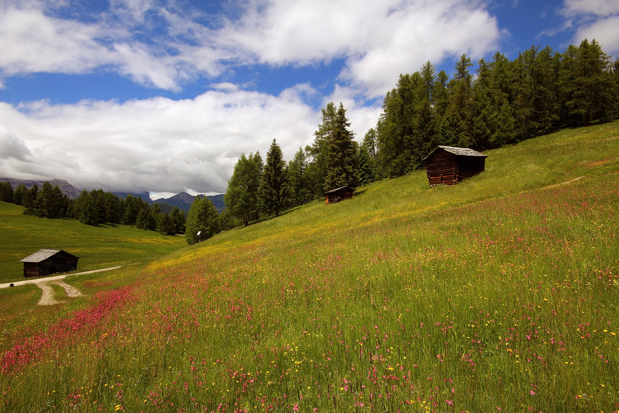 I Prati dell'Armentara