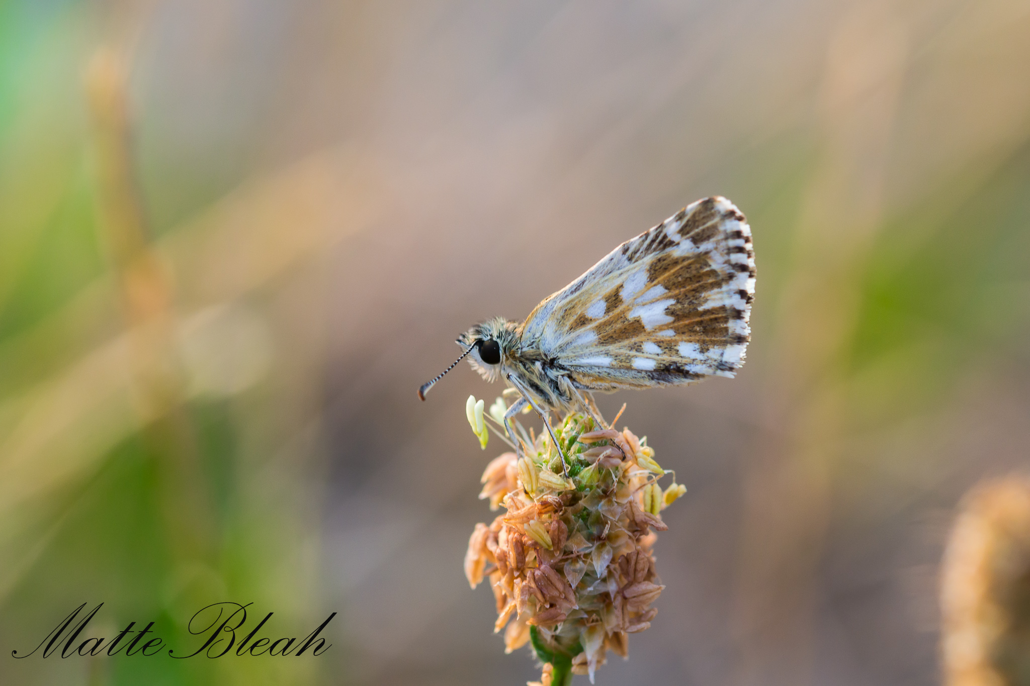 Waiting for the sun to rise