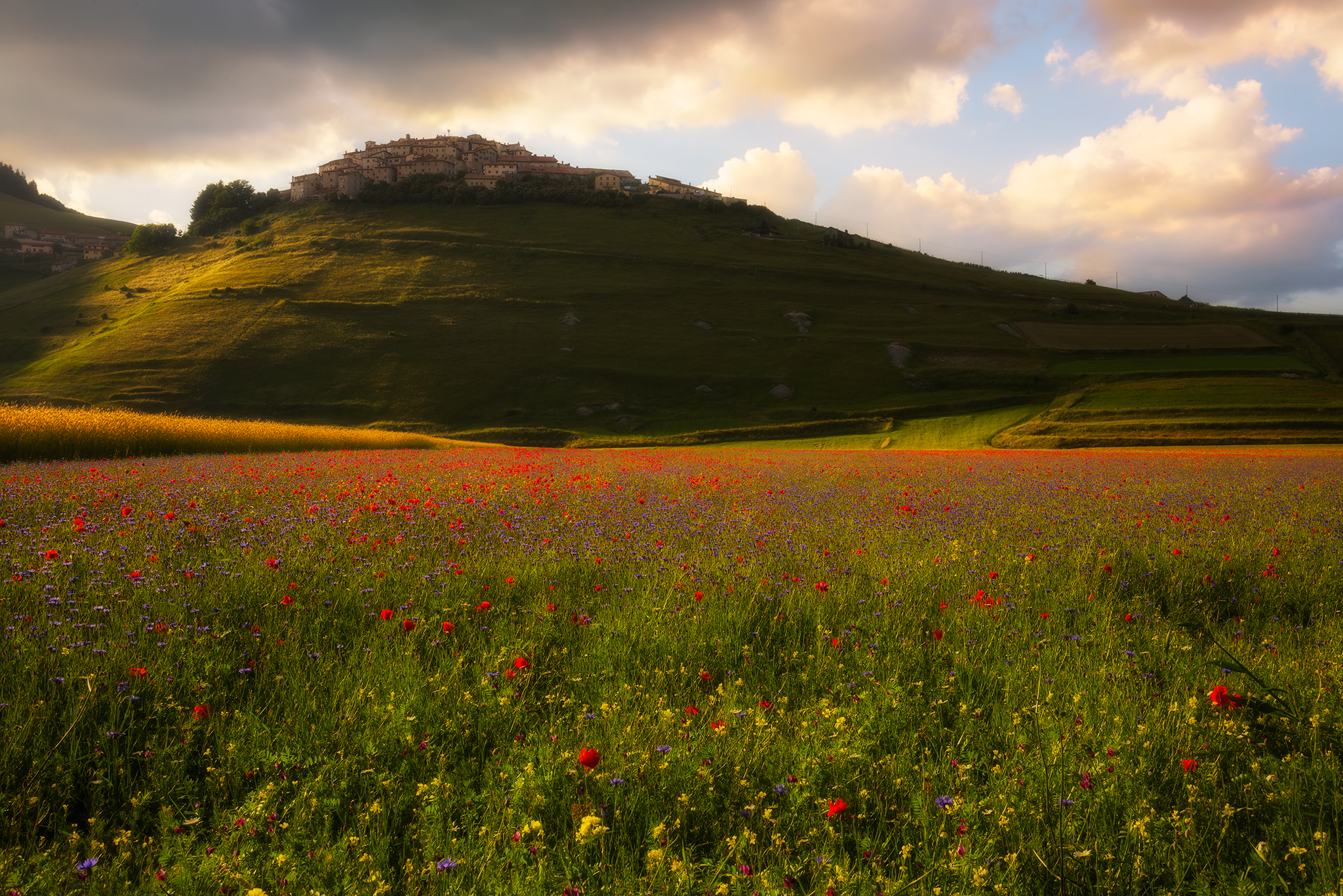 Il lato oscuro della fioritura