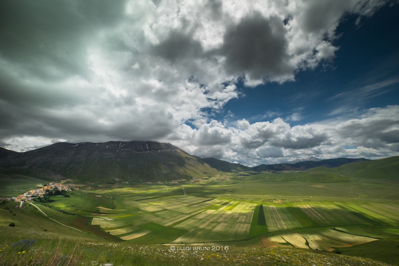 castelluccio, pian grande e ranuncoli