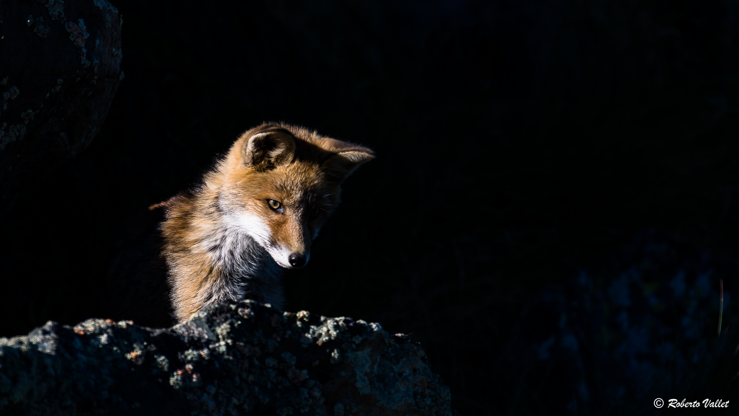 Nell'ombra dell'ultimo sole...