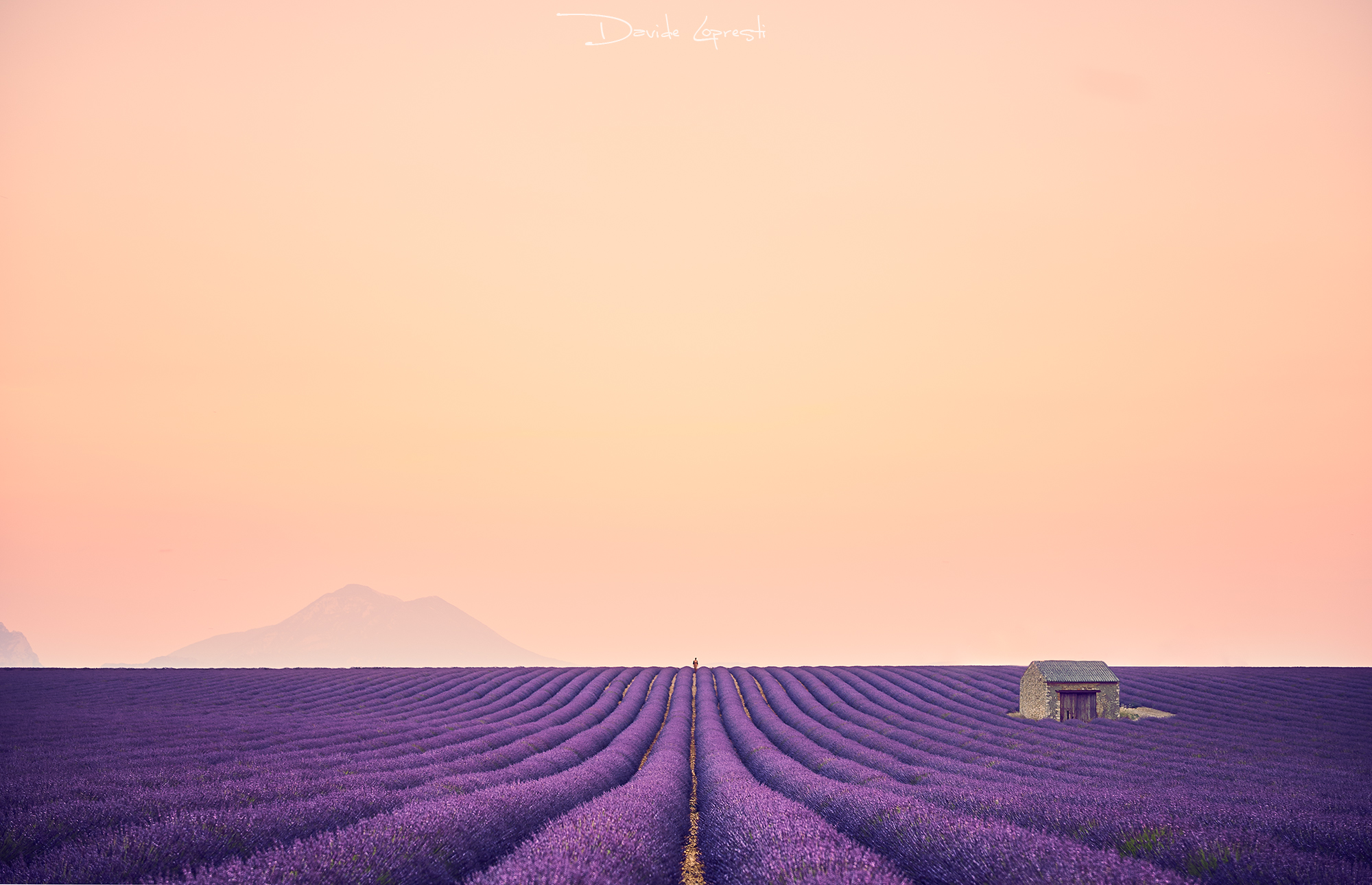 Tramonto su Valensole