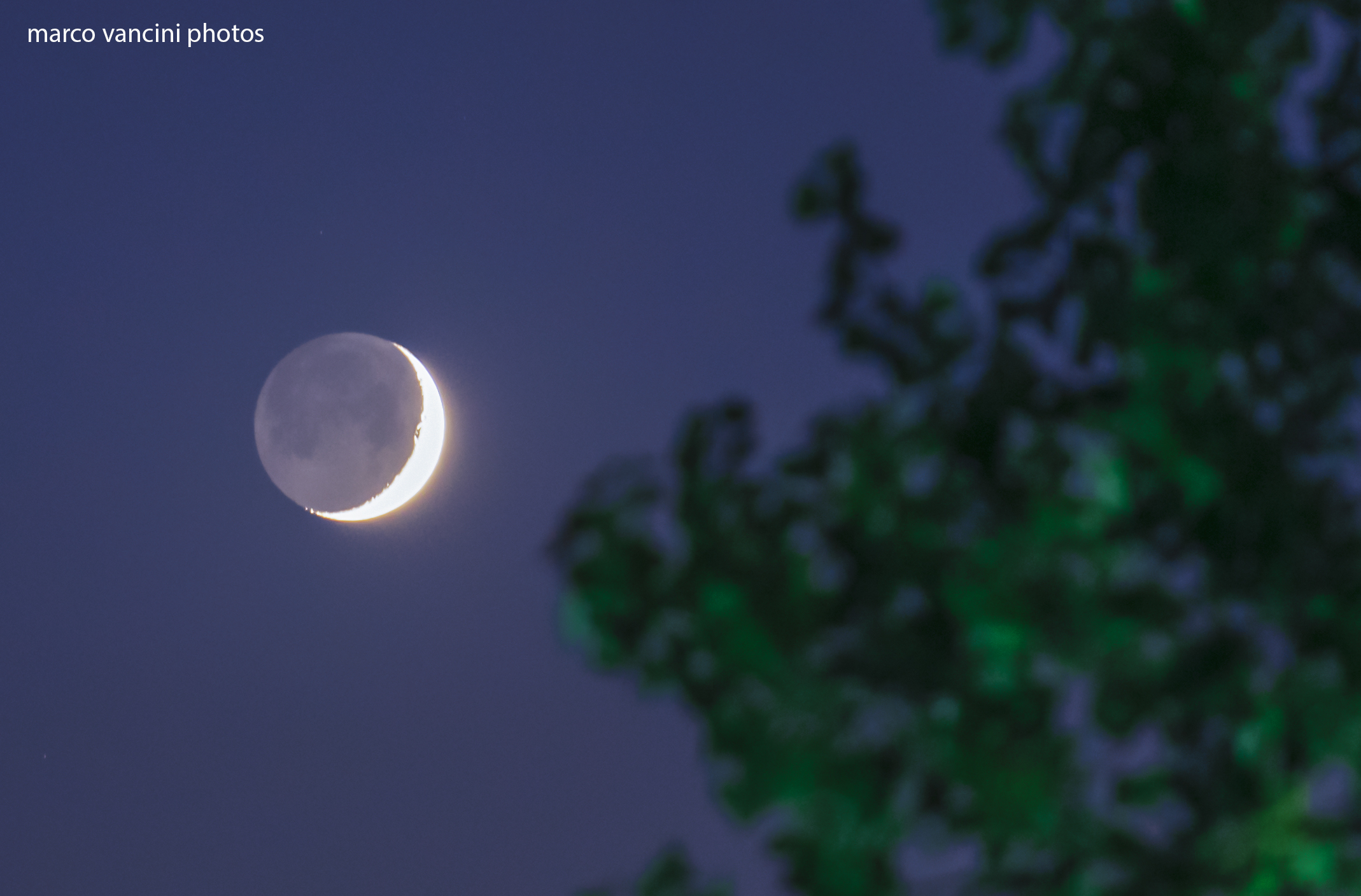 Blue Hour with the moon