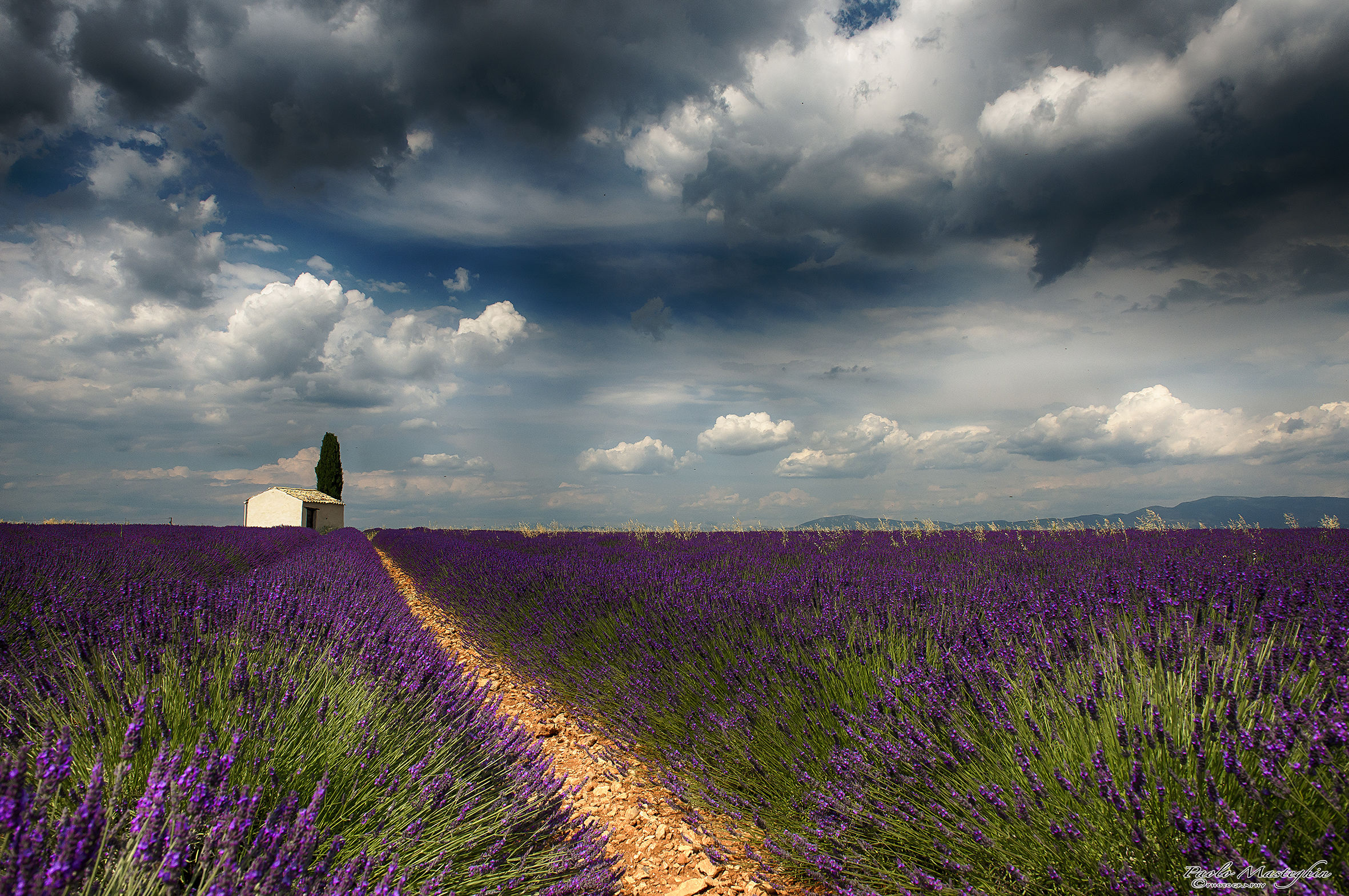Immerso nei colori...