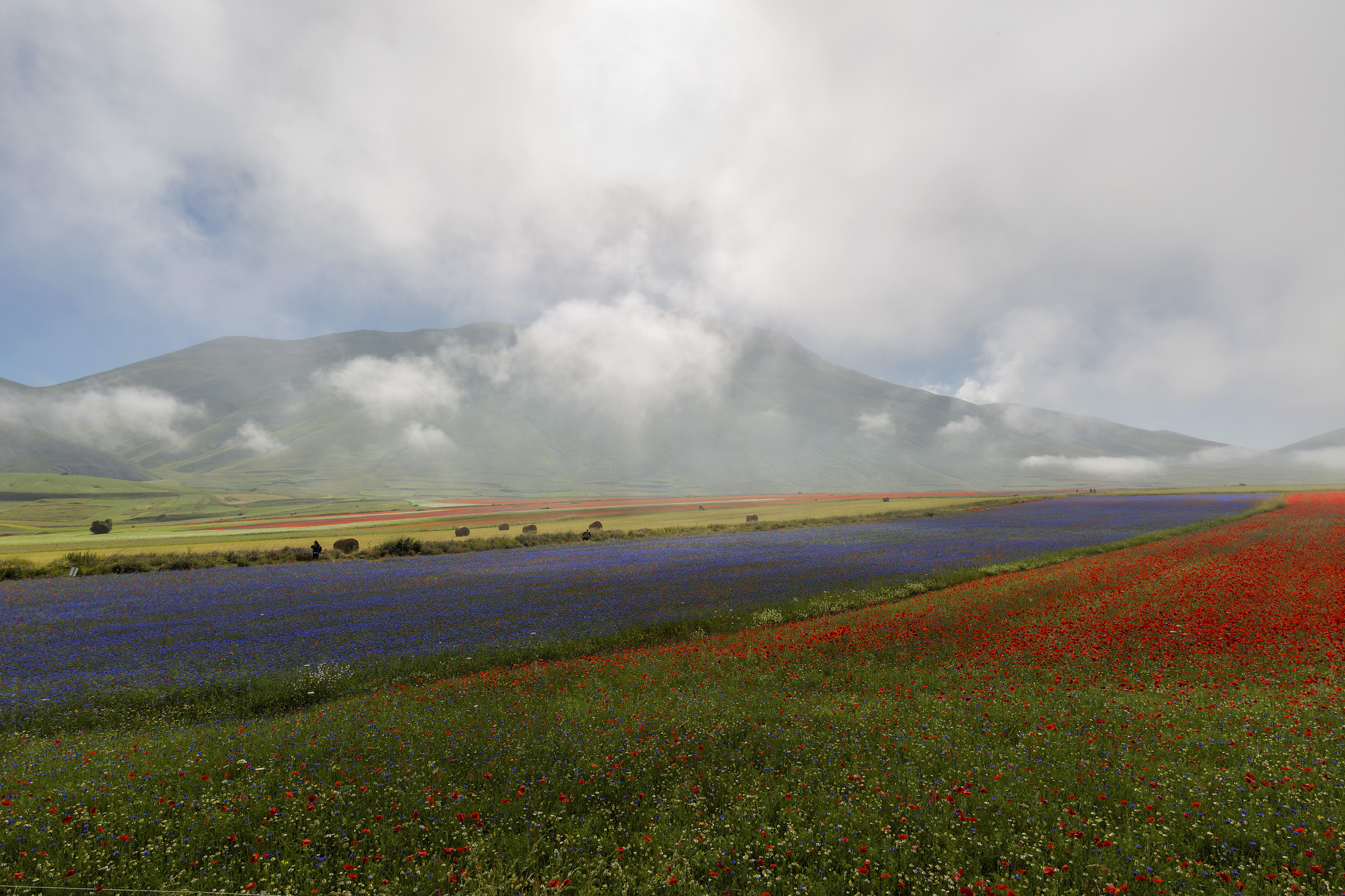 It gets the fog and bloom was!