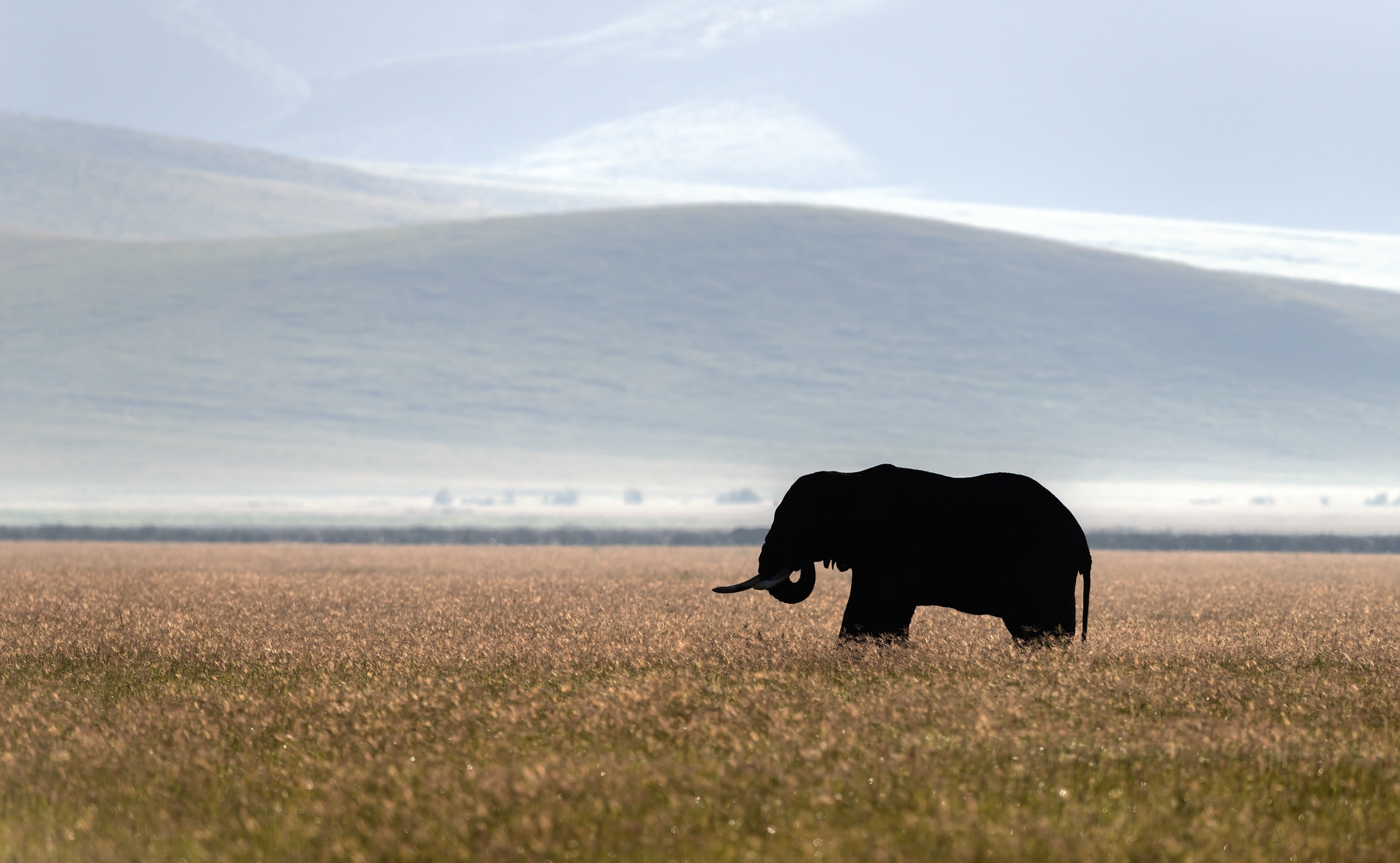 Tanzania 2016 - Nel Ngorongoro crater
